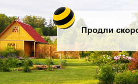 Варианты продления интернета Beeline